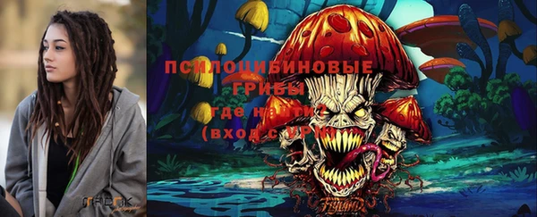 соль ск Белокуриха