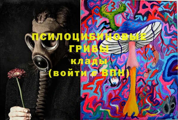 соль ск Белокуриха