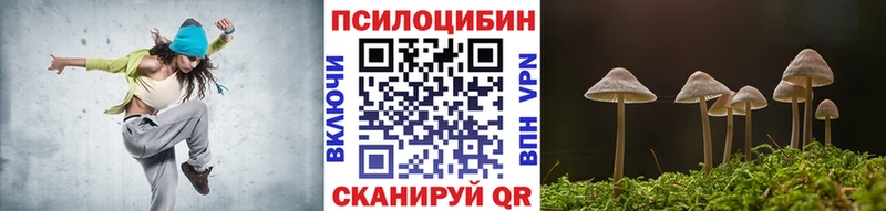 Купить  Рудня  Галлюциногенные грибы GOLDEN TEACHER 