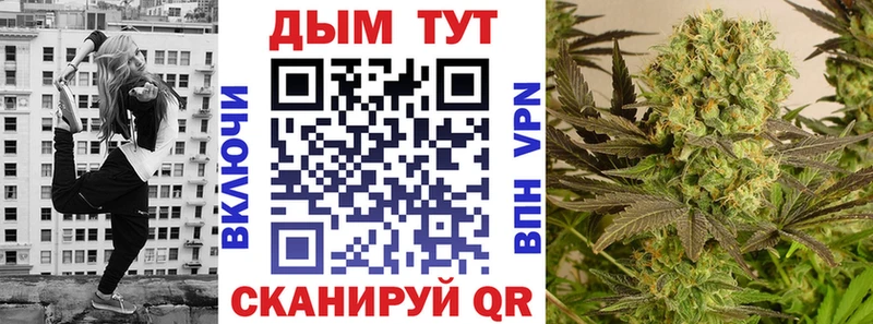 Купить где  Рудня  МАРИХУАНА план 